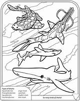 Coloring Pages Shark Goblin Sharks Thresher Dover Publications Color Book Ocean Doverpublications Welcome Getdrawings Frilled Sheets Kids Printable Getcolorings Template sketch template