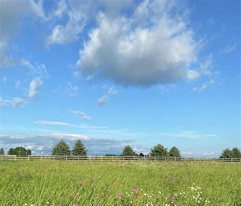meadows  country photograph  mary lambert fine art america