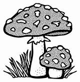 Clipart Toadstool Drawing Clip Mushroom Coloring Book Line Fungus Mushrooms Vector Lineart Getdrawings Svg Colored Chicken Male Pilz Domain Public sketch template