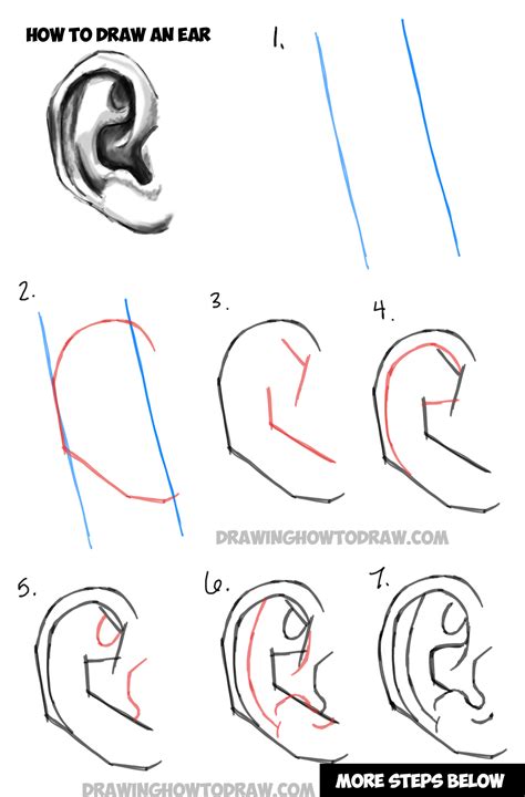 learn   draw ears    shade  drawing  shading ears tutorial   draw