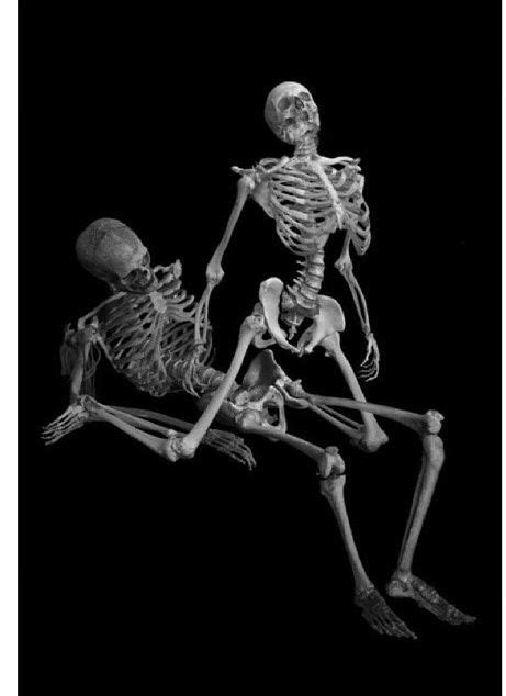 32 best images about fun with skeletons on pinterest med
