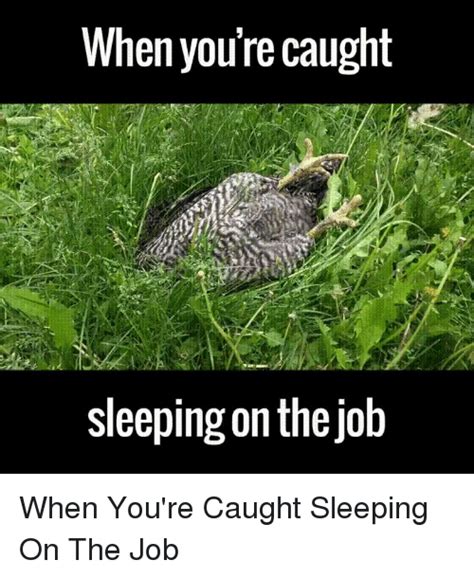 When You Re Caught Sleeping On The Job When You Re Caught