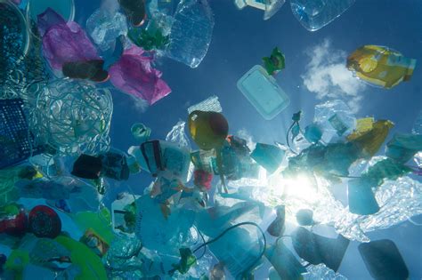 alearga poti scoate plasticul din oceane cu fiecare kilometru alergat