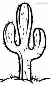 Cactus Kaktus Cool2bkids Ausmalbilder Drawing Saguaro Malvorlagen sketch template