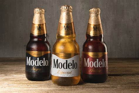 cerveza modelo te ayuda  elegir la cerveza ideal conexion