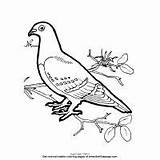 Coloring Pages Finch Yellow Animals Gorilla Birds Africa sketch template