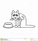 Hungry Cat Clipart Poor Icon Cats Line Vector Isolated Sits Empty Bowl Near Background Illustration Clipground sketch template