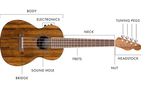 ukulele buying guide  beginners fender