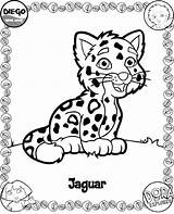 Coloring Baby Jaguar Pages Dora Kids Diego Go sketch template