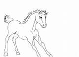 Stallion Cimarron Getcolorings Lineart sketch template