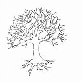Tree Outline Printable Leafless Cliparts Bare Trunk Coloring Clipart Graphic sketch template