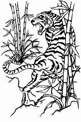 Bamboo Drawing Tree Tattoo Tiger Getdrawings sketch template
