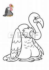 Vulture Griffon sketch template
