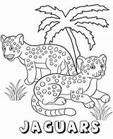 Jaguars Bestcoloringpagesforkids sketch template