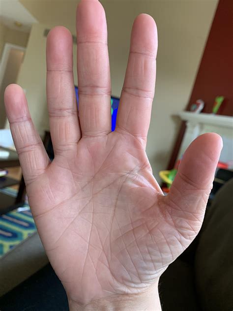 35 Y O Female Right Handy My Last Palm Reading Resulted In The Reader