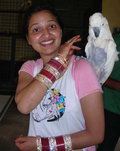 Hot Indian Air Hostess Photo Gallery Mallu Joy