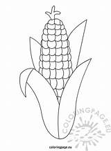 Corn Template Thanksgiving Coloring Preschool Printable Pages sketch template