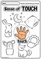Senses Kindergarten Teachersmag Printable Smell sketch template