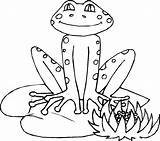 Frog Coloring Pages Printable Kids Color Frogs Leaf Cartoon Season Rainy Leapfrog Clipart Children Leap Print Sheet 1024 Getcolorings Gif sketch template