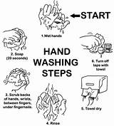 Washing Coloring Hand Hands Pages Steps Step Printable Wash Kids Food Clean Poster Worksheets Hygiene Proper Contamination Cause Germs Safety sketch template