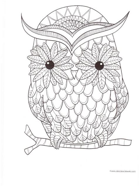 owl coloring pages  print zen print coloring pages