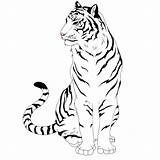 Lineart Sketches Clipartbest Tigre Clipartpanda Freecoloringpages sketch template
