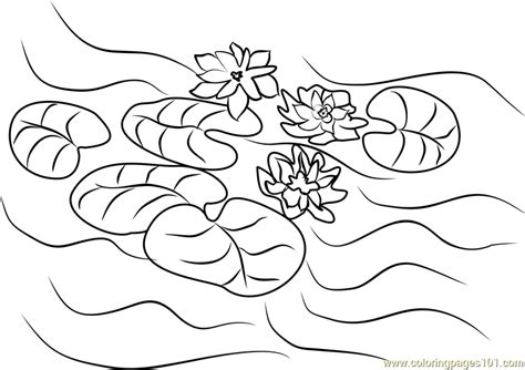 water lilies coloring page  kids  andy warhol printable