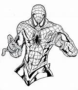 Spiderman Pages Colouring Printable Template Templates Coloring Face Kids sketch template