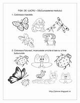 Lucru Insecte Fise Planse Cunoasterea Fisa Colorat Pentru Copii Mediului sketch template