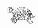 Tortoise Weaving Zetangle Coloringbay sketch template