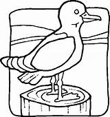 Uccelli Pasari Oiseaux Coloriage Ptice Colorat Bojanke Crtež Ptica Planse Imprimir Djecu Animali Zivotinje četiri Pajaros Aves Colorir Dessin Crtezi sketch template