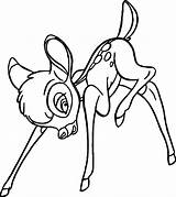 Coloring Pages Bambi Careful Wecoloringpage sketch template
