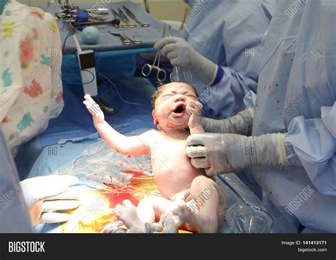baby  born  image photo  trial bigstock