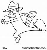 Phineas Ferb Platypus Colouring Printablecolouringpages Printable sketch template