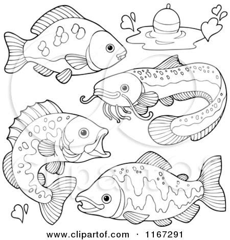freshwater fish coloring pages trends coloring freshwater fish
