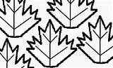 Unschoolers Almost Leaf Then Copying Pasting Maple Across sketch template