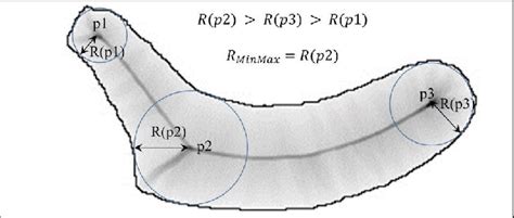 illustration  maximum   minimum radial distance  maxmin  scientific diagram