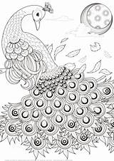 Coloriage Paon Pavo Graceful Coloringhome Pavos Gracieux Sheets Bird Mandalas Peacocks Coloringbay sketch template