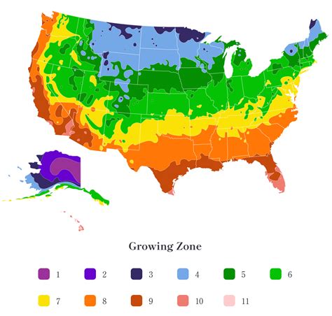 alternativni energie chumelenice plant hardiness zone map klamani nejak