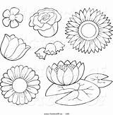 Flower Outline Coloring Pages Vector Flowers Simple Drawing Outlines Newdesign Via Clip sketch template