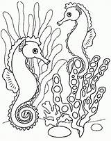 Mer Animais Mare Hippocampe Marin Colorat Morski Konik Morskie Kolorowanki Koniki Imagensemoldes Imagini Caballito Carle Caluti Ausmalbilder Cal Kolorowanka Pour sketch template