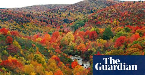 Fall Colors Autumn Foliage Across North America In Pictures