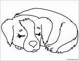 Pages Cute Puppy Coloring Outstanding Color Online Adults sketch template