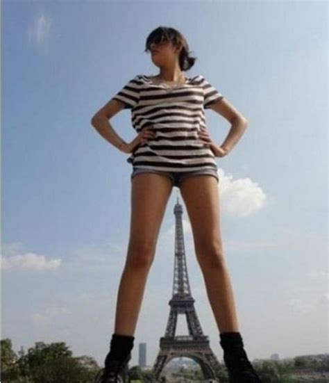 oh la la with images girl humor funny optical illusions funny