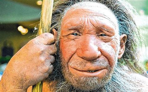 Neanderthals Stopped Modern Humans From Being Wiped Out By