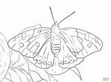 Butterfly Kamehameha Coloring Pages Printable Zebra Longwing Drawing Supercoloring Template Skip Main Drawings Choose Board Categories sketch template