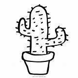 Cactus Colorare Prickly Pinclipart Clipground Clipartkey Ultracoloringpages sketch template