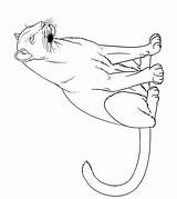 Momjunction Panthers Penrith Ausmalbild sketch template