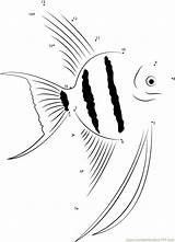 Angelfish Cute Dots Connect Dot sketch template