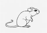 Mice Coloring sketch template